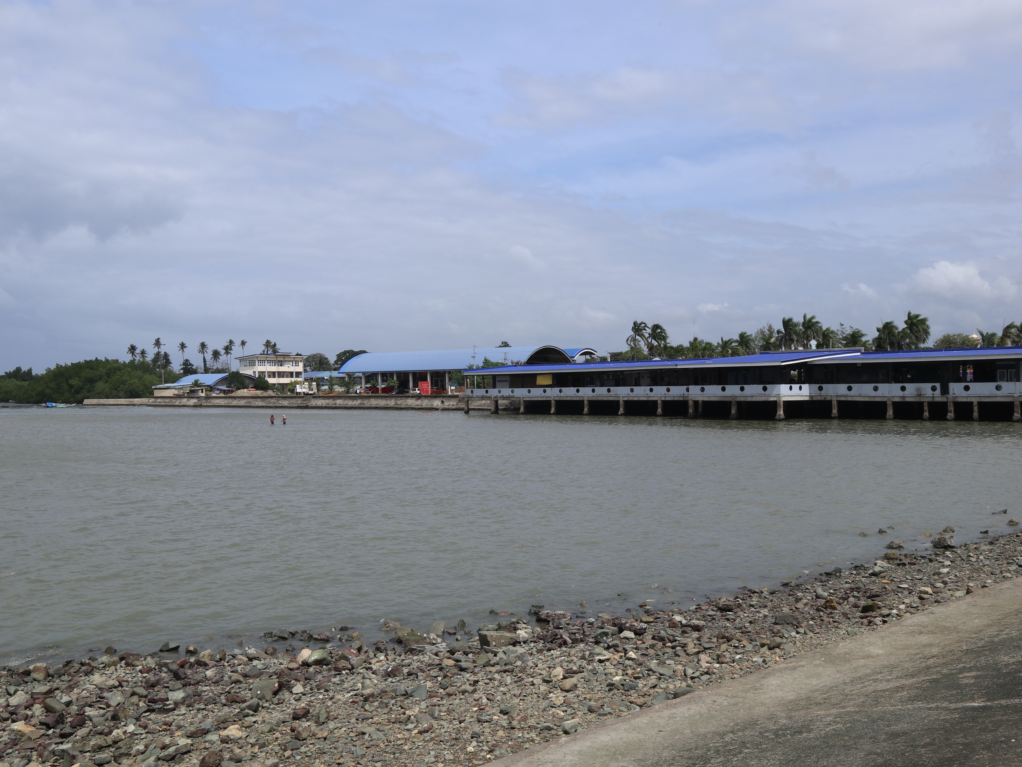 Balamban - houses for sale