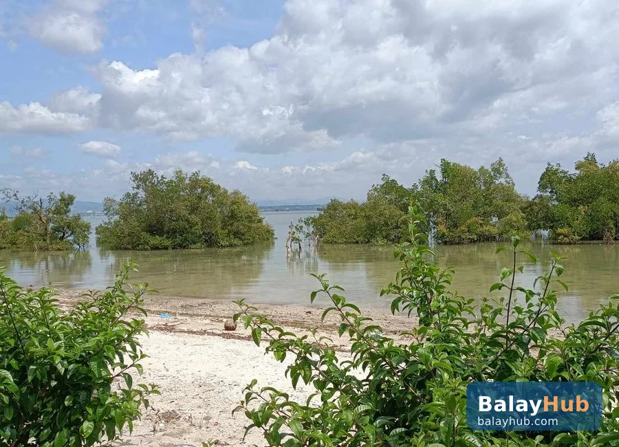 Mactan Beachfront Lot for Sale and Rent with Road Right of Way
