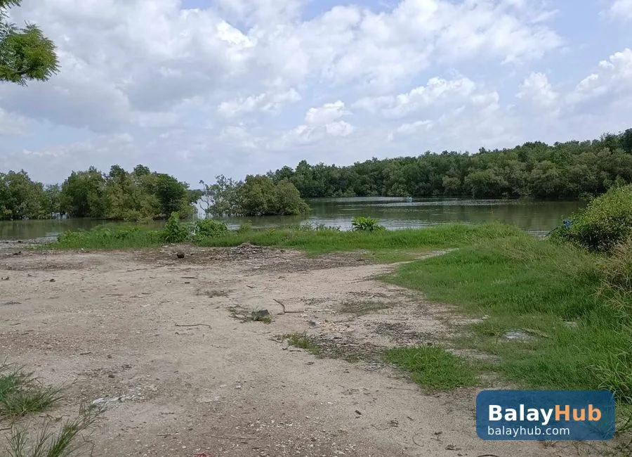Mactan Beachfront Lot for Sale and Rent with Road Right of Way