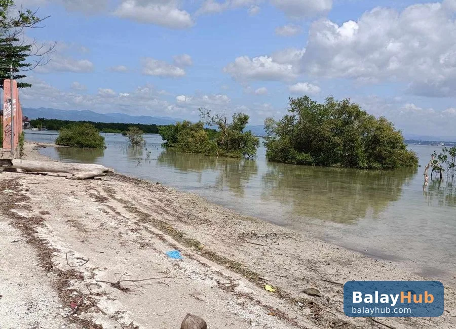 Mactan Beachfront Lot for Sale and Rent with Road Right of Way