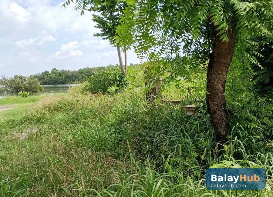 Mactan Beachfront Lot for Sale and Rent with Road Right of Way