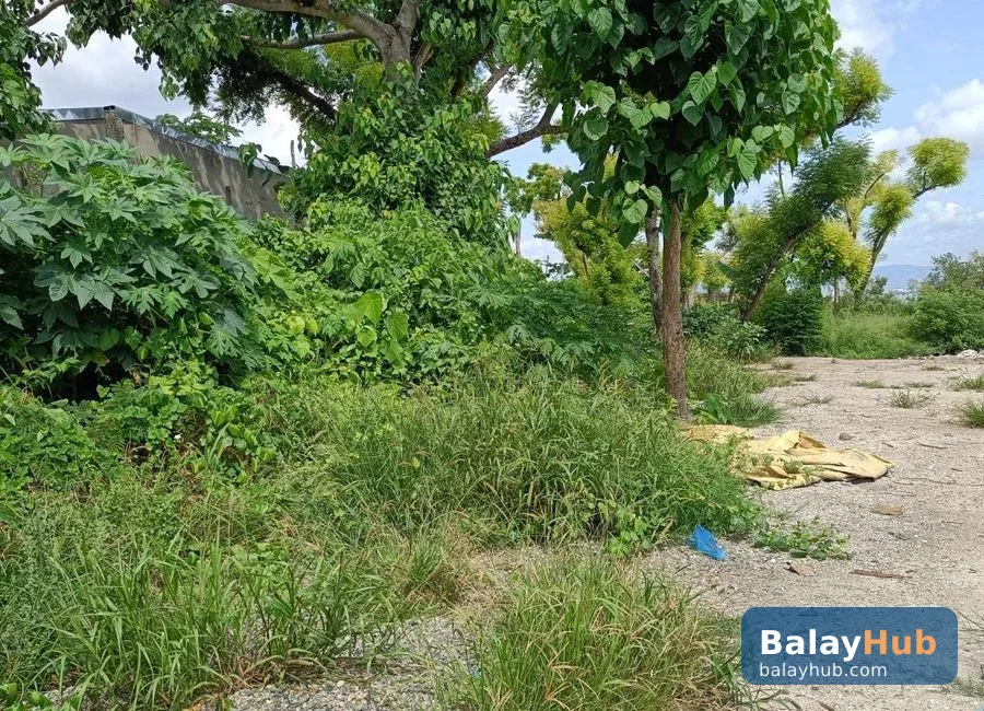 Mactan Beachfront Lot for Sale and Rent with Road Right of Way