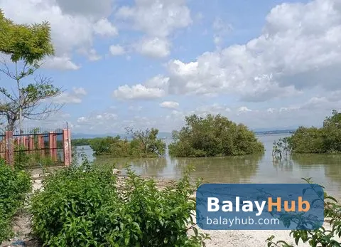 Mactan Beachfront Lot for Sale and Rent with Road Right of Way