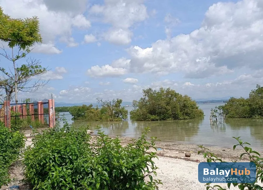 Mactan Beachfront Lot for Sale and Rent with Road Right of Way