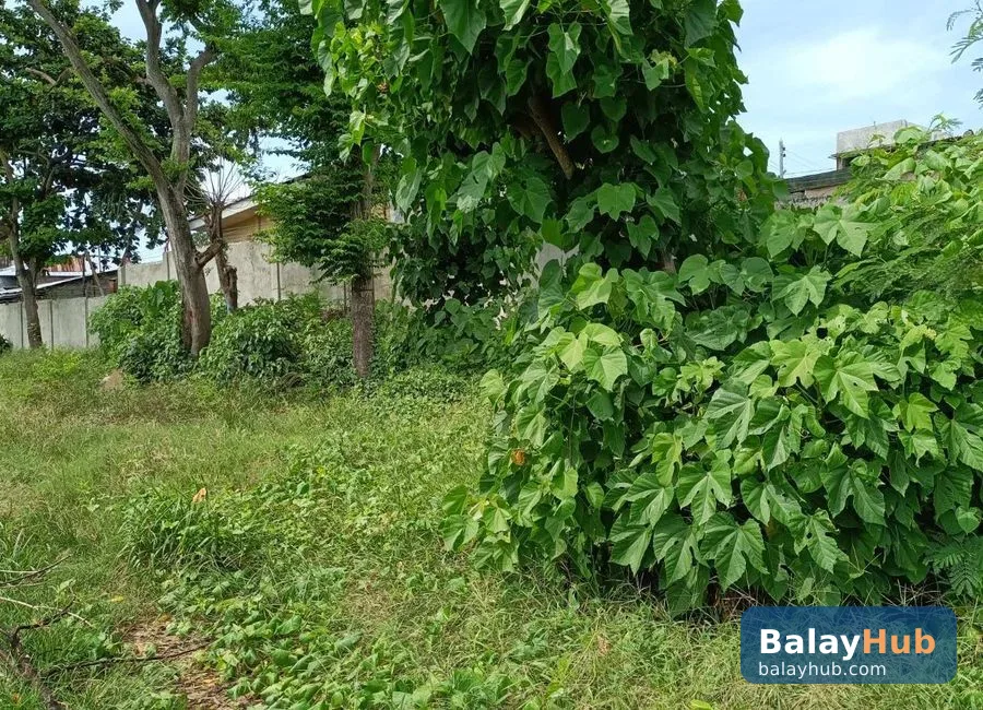 Mactan Beachfront Lot for Sale and Rent with Road Right of Way