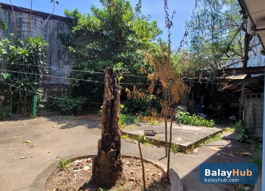 400 sqm Lot With Old House for Sale or Lease in Scout Area, QC