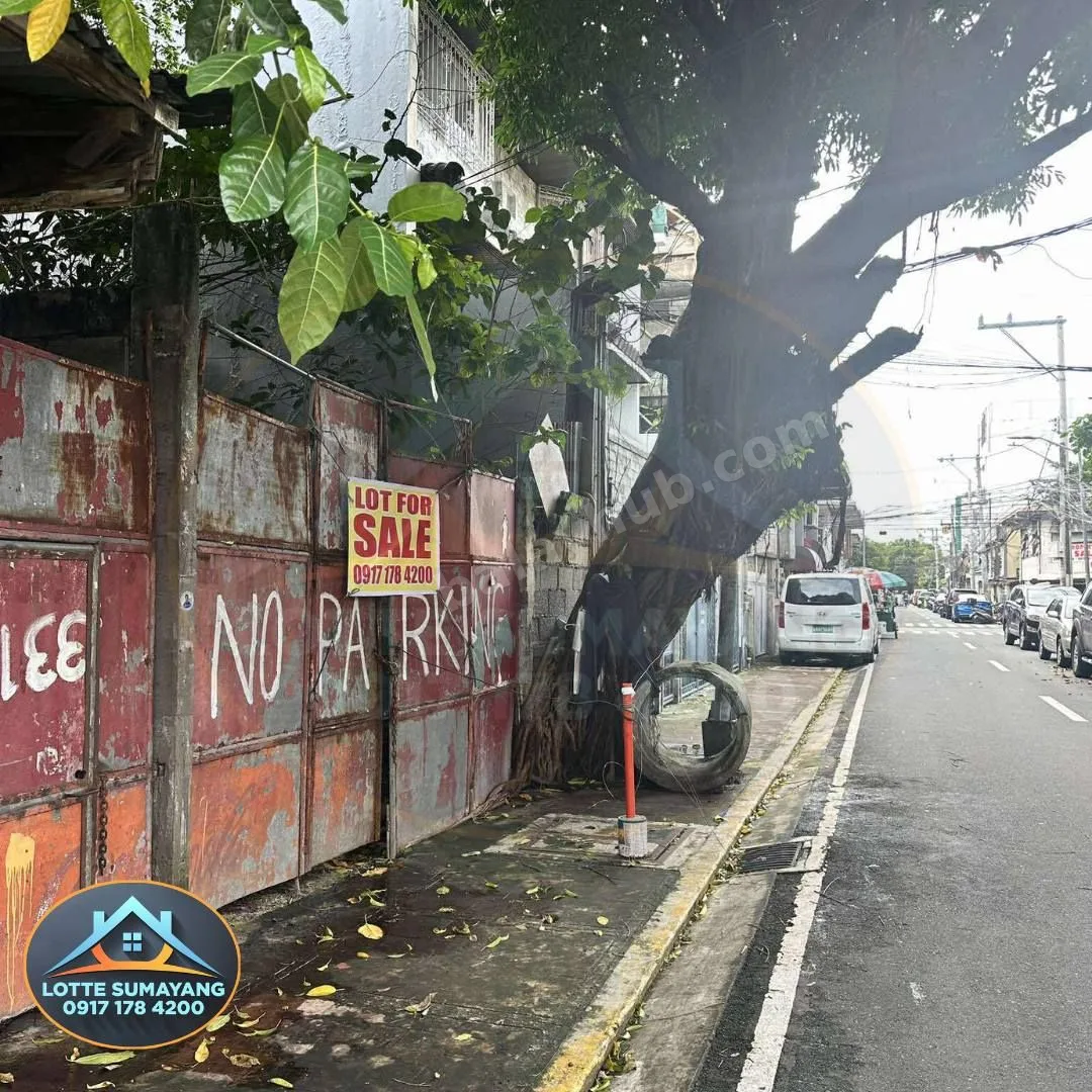 201 sqm Lot in Palanan, Makati City