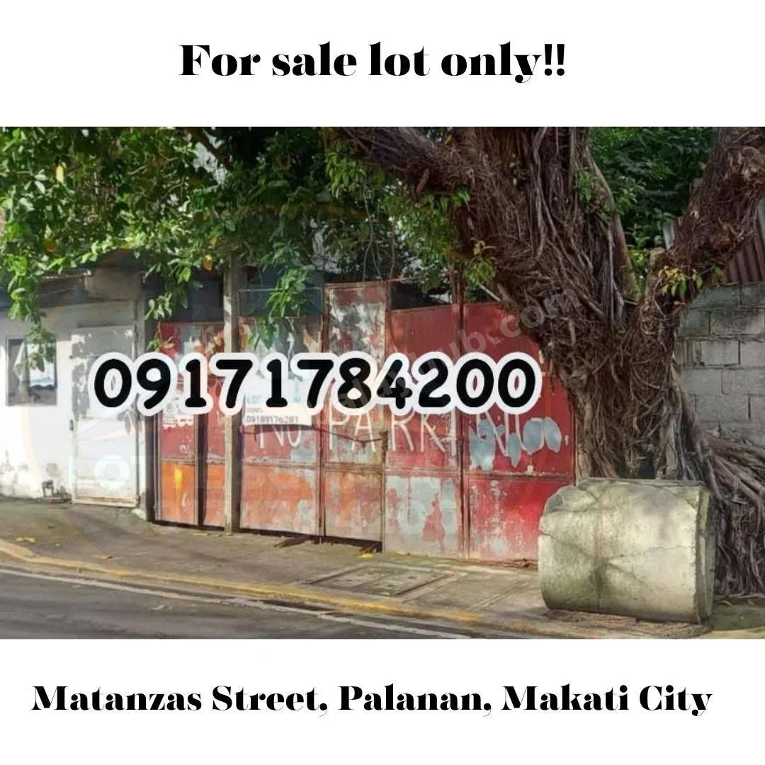 201 sqm Lot in Palanan, Makati City