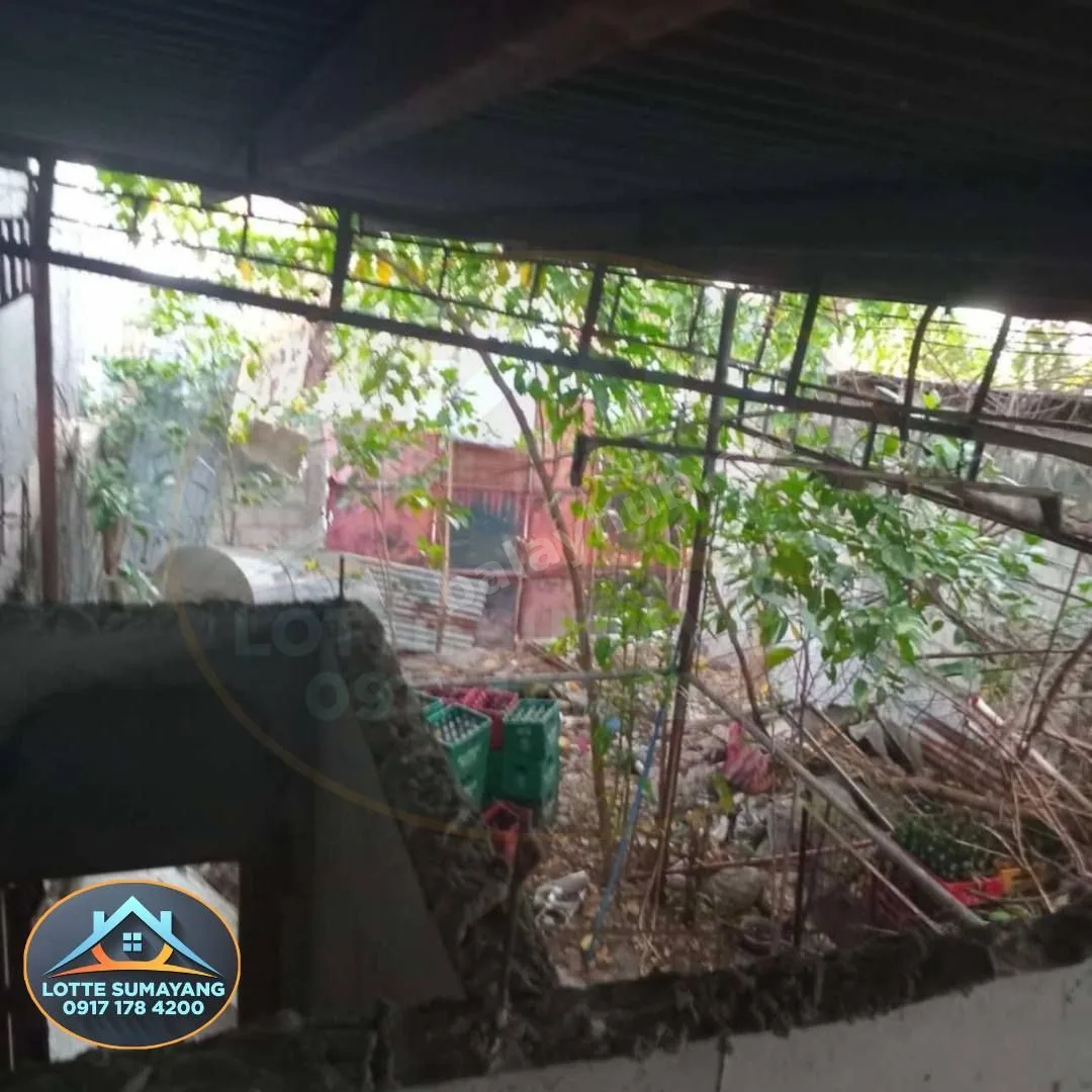 201 sqm Lot in Palanan, Makati City