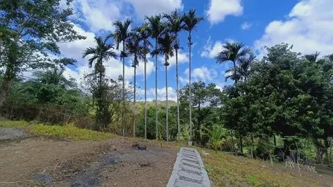 Farmlot in Laiban, Tanay Rizal – 3 Subdivided Lots