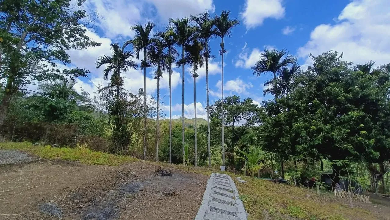 Farmlot in Laiban, Tanay Rizal – 3 Subdivided Lots