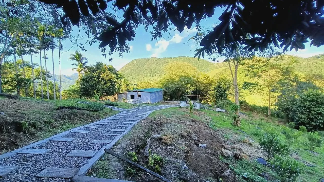 Farmlot in Laiban, Tanay Rizal – 3 Subdivided Lots