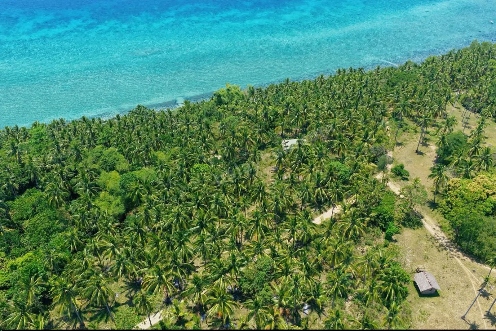 3,334 sqm Beachfront Land in Ragay, Camarines Sur
