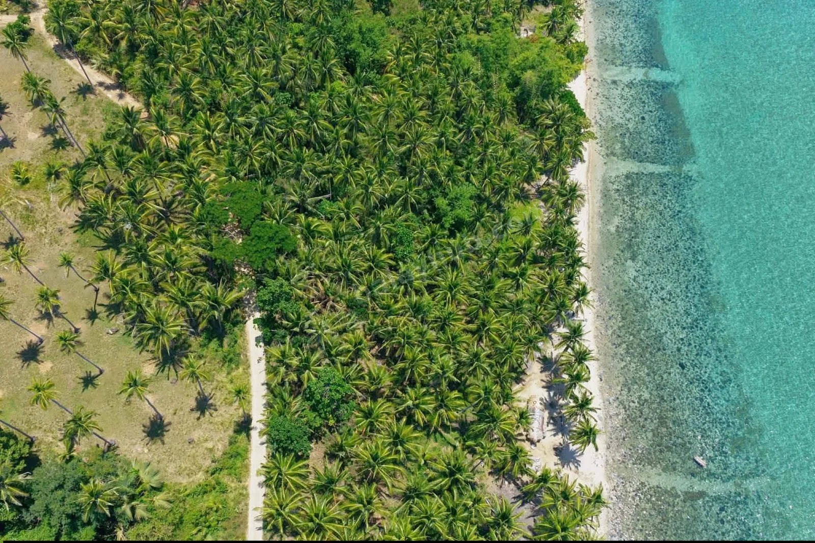 3,334 sqm Beachfront Land in Ragay, Camarines Sur