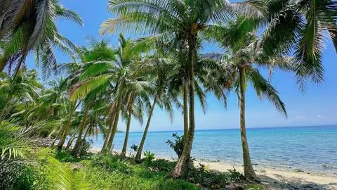 3,334 sqm Beachfront Land in Ragay, Camarines Sur