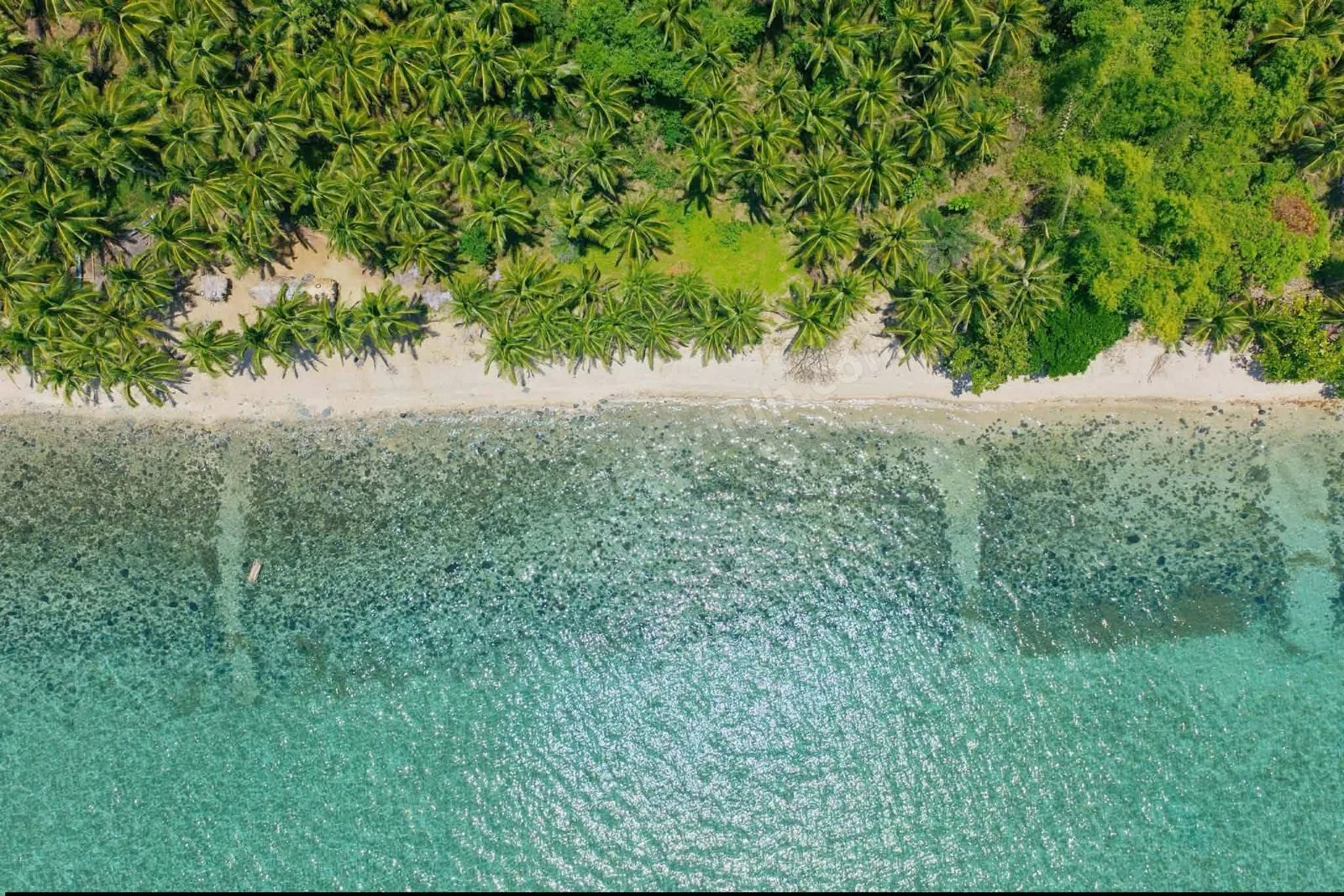 3,334 sqm Beachfront Land in Ragay, Camarines Sur