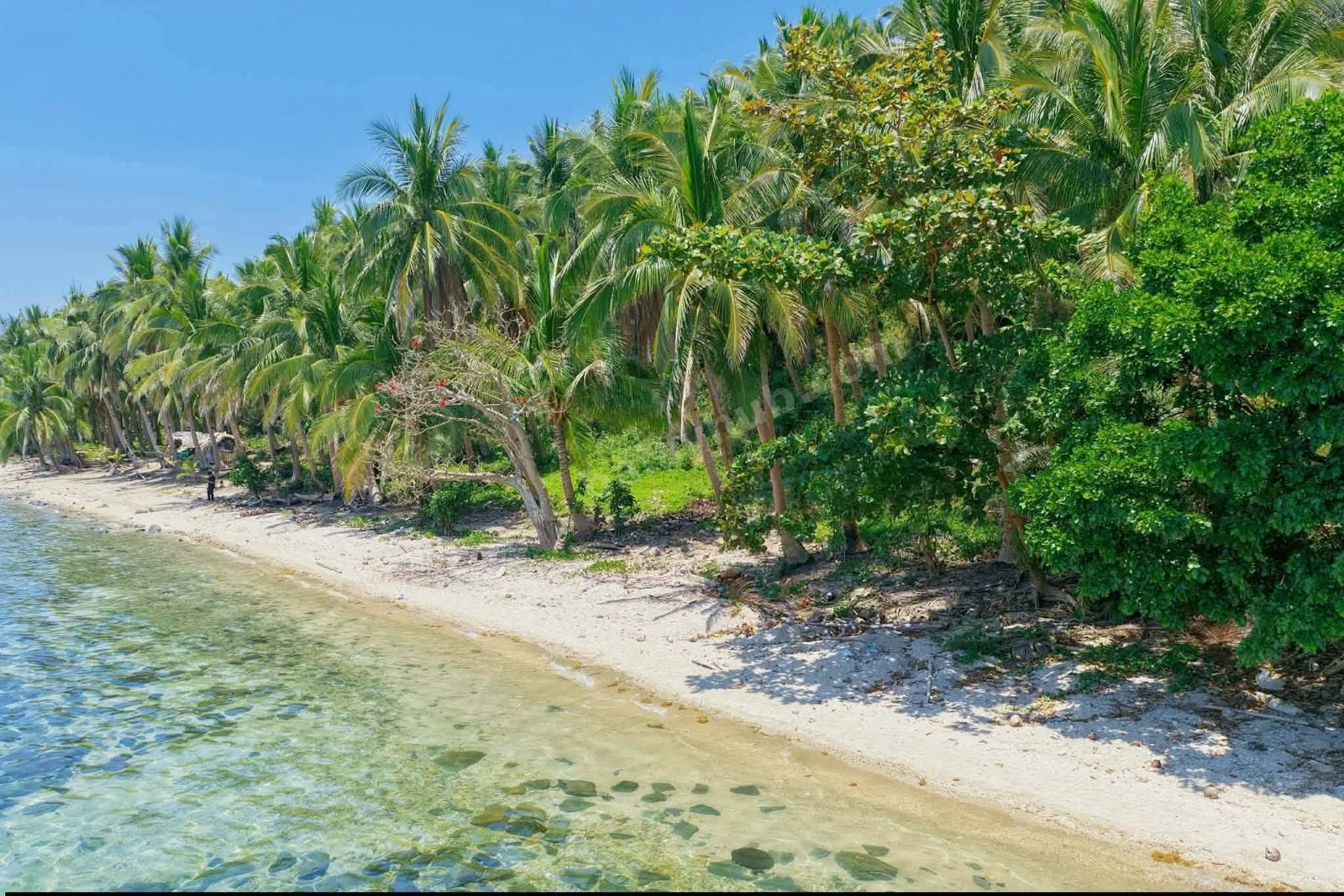 3,334 sqm Beachfront Land in Ragay, Camarines Sur