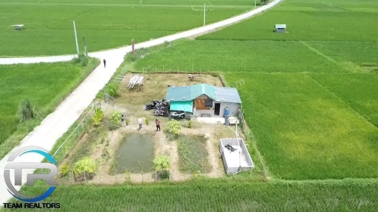1-Hectare Irrigated Farm Lot in Guimba, Nueva Ecija