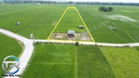 1-Hectare Irrigated Farm Lot in Guimba, Nueva Ecija