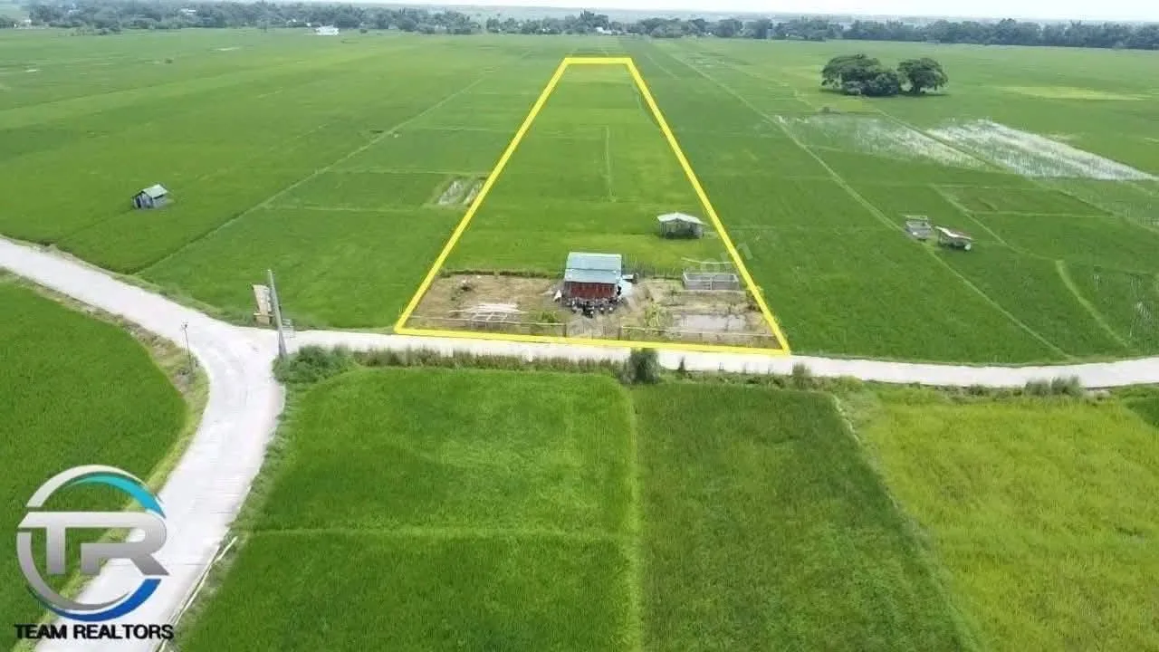 1-Hectare Irrigated Farm Lot in Guimba, Nueva Ecija