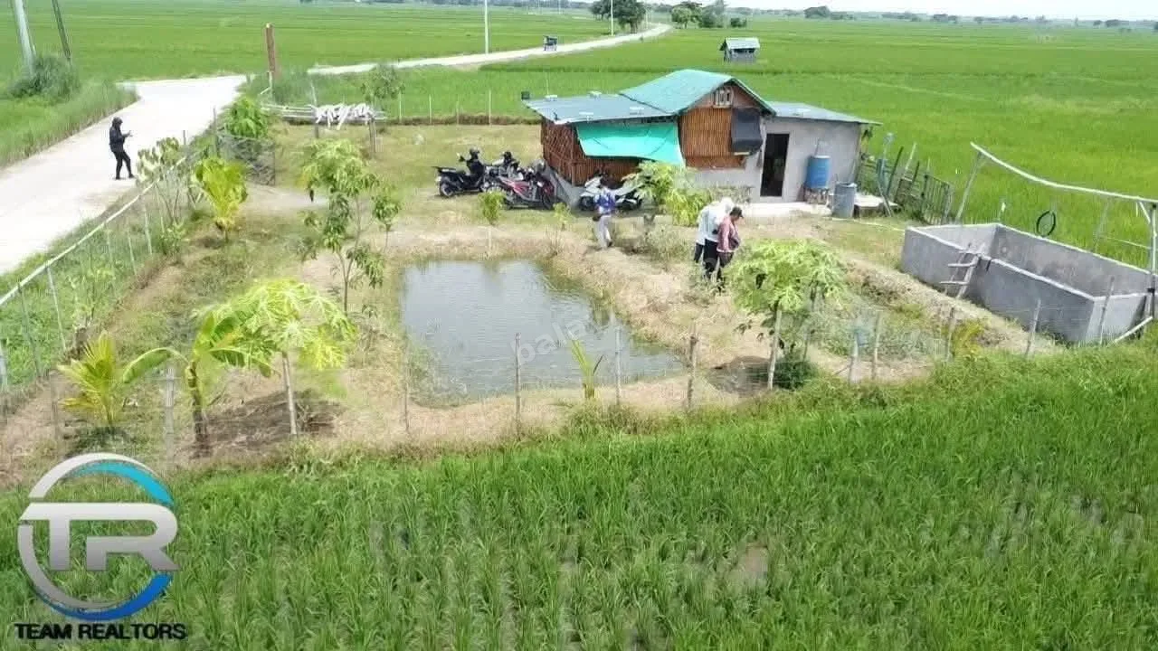 1-Hectare Irrigated Farm Lot in Guimba, Nueva Ecija