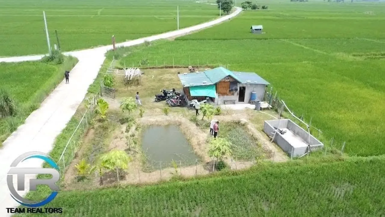 1-Hectare Irrigated Farm Lot in Guimba, Nueva Ecija