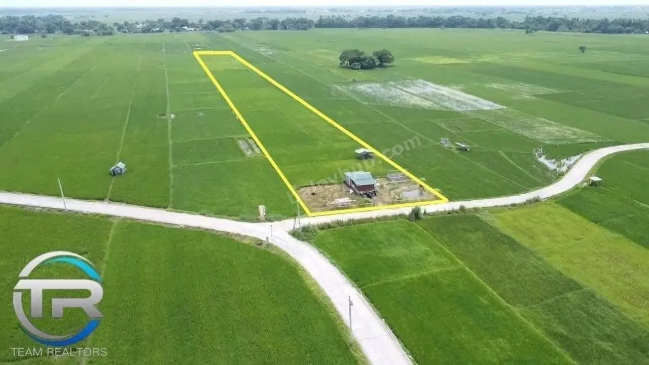 1-Hectare Irrigated Farm Lot in Guimba, Nueva Ecija