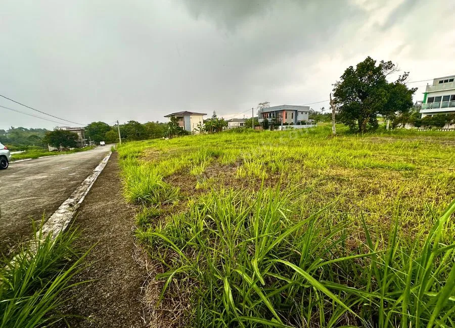Residentail lot in Tagaytay Tropical Greens Patutong Malaki South Tagaytay City