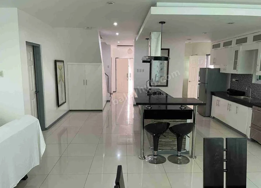 Two storey modern house for sale with big garden (fully furnished)