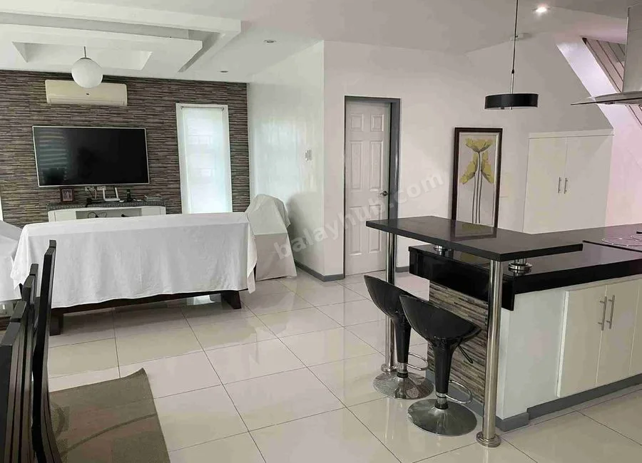 Two storey modern house for sale with big garden (fully furnished)