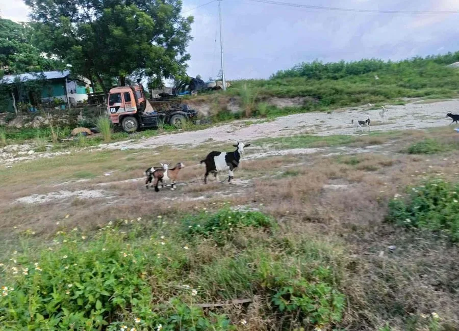 Tayud Consolacion Lot for sale