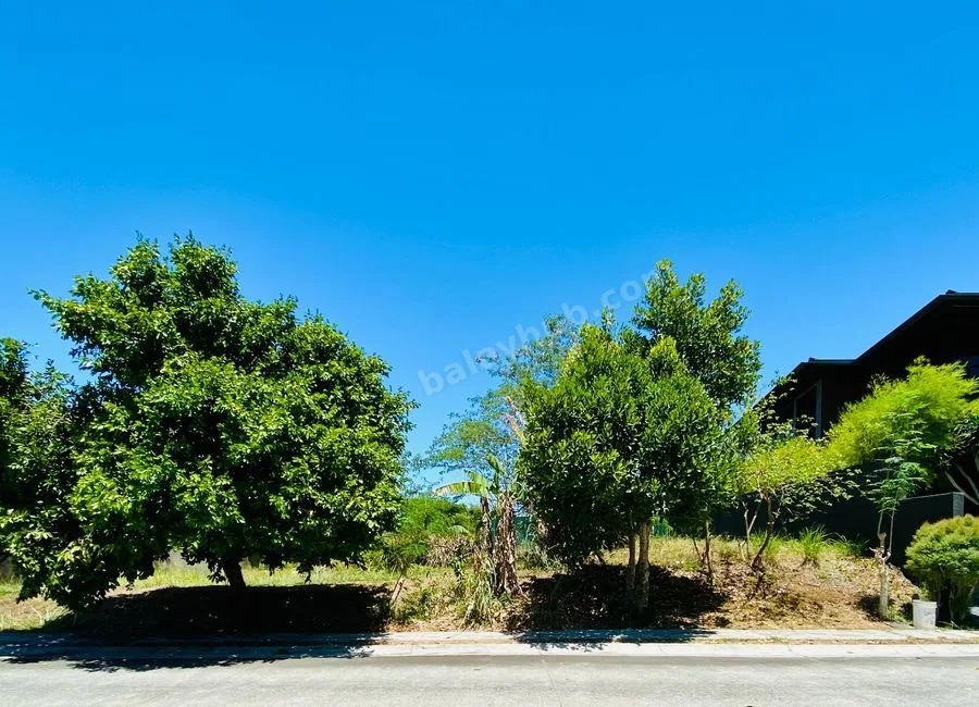 For Sale Vacant Lot in Ayala Westgrove Heights -  R1589