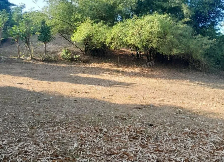 Prime Investment Lot / Raw Land for Sale in Sitio Dayapan, Bgy. Bilog-Bilog, Tanauan, Batangas