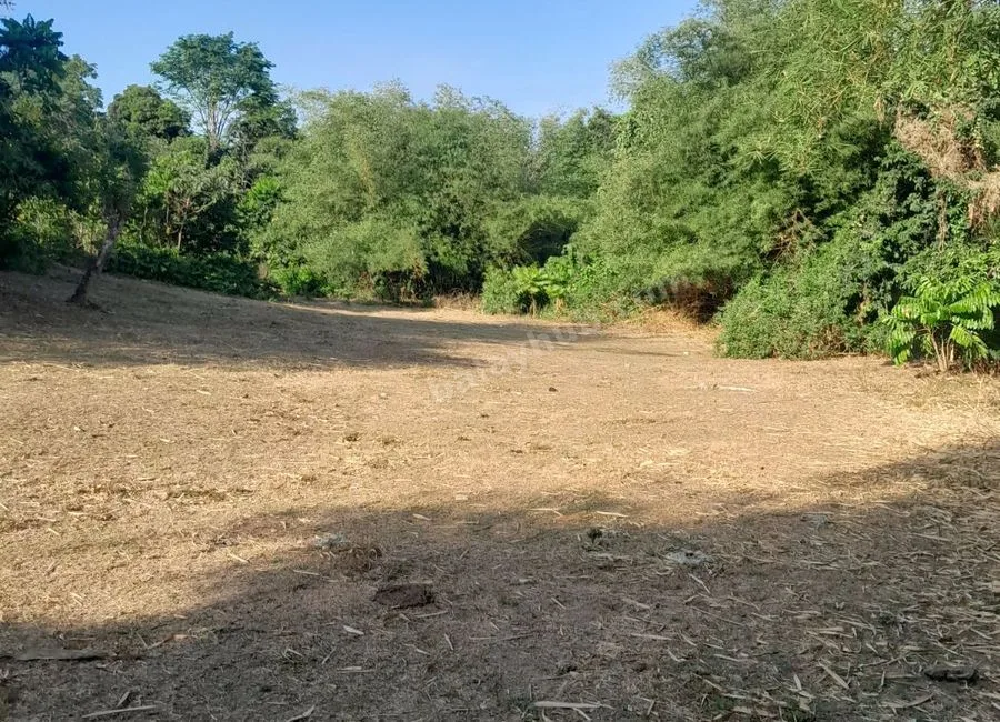 Prime Investment Lot / Raw Land for Sale in Sitio Dayapan, Bgy. Bilog-Bilog, Tanauan, Batangas