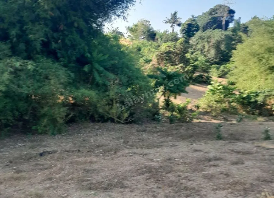 Prime Investment Lot / Raw Land for Sale in Sitio Dayapan, Bgy. Bilog-Bilog, Tanauan, Batangas