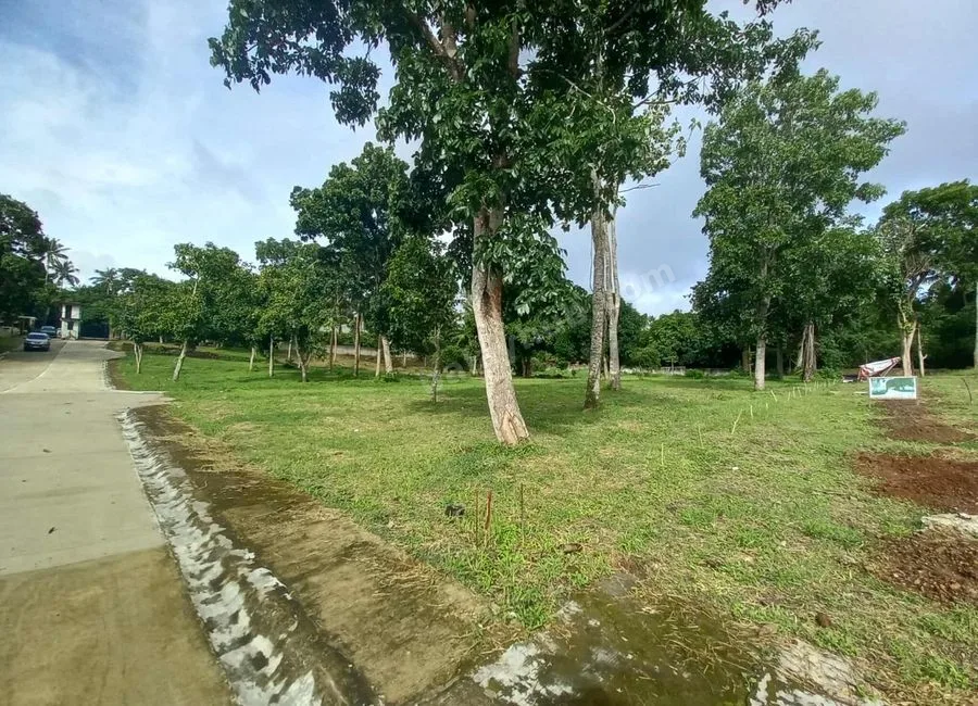 Residential Lot For Sale in Pajo Alfonso Cavite-MC