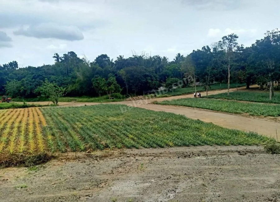 Residential Lot For Sale in Pajo Alfonso Cavite-MC