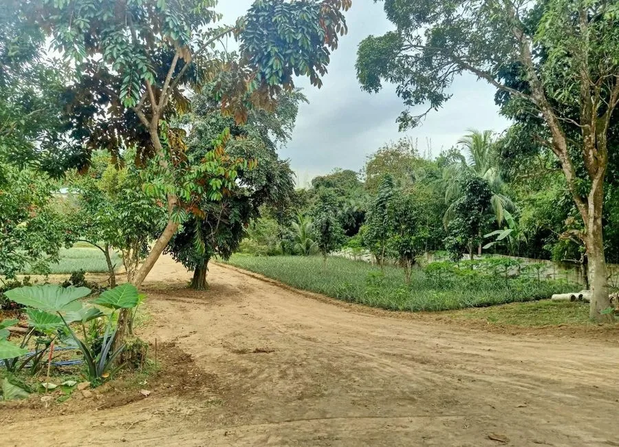Residential Lot For Sale in Pajo Alfonso Cavite-MC