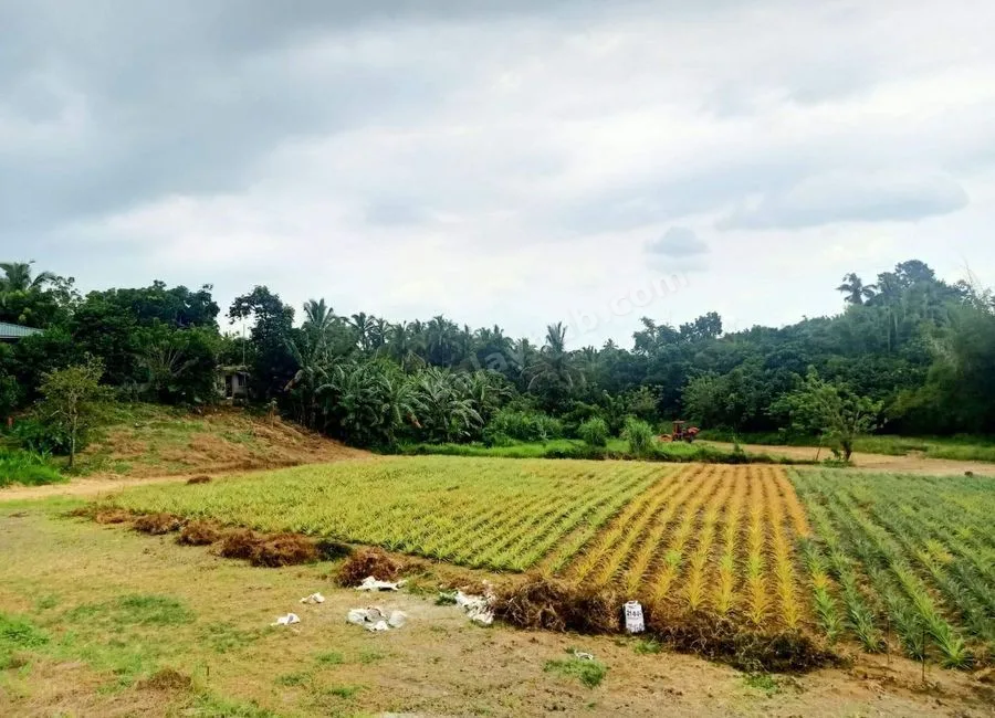 Residential Lot For Sale in Pajo Alfonso Cavite-MC