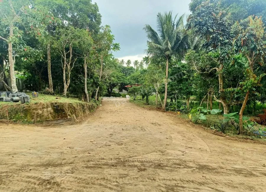 Residential Lot For Sale in Pajo Alfonso Cavite-MC