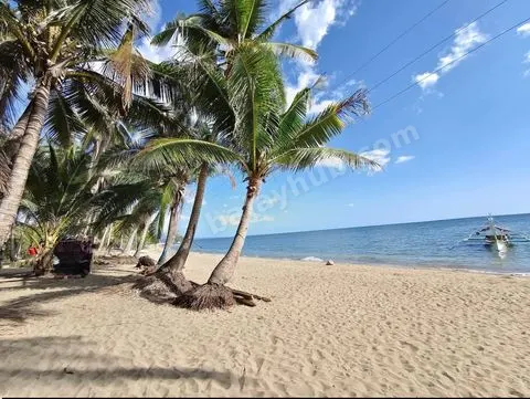 2000 sqm Land in Mulanay, Quezon for Farm or Retreat