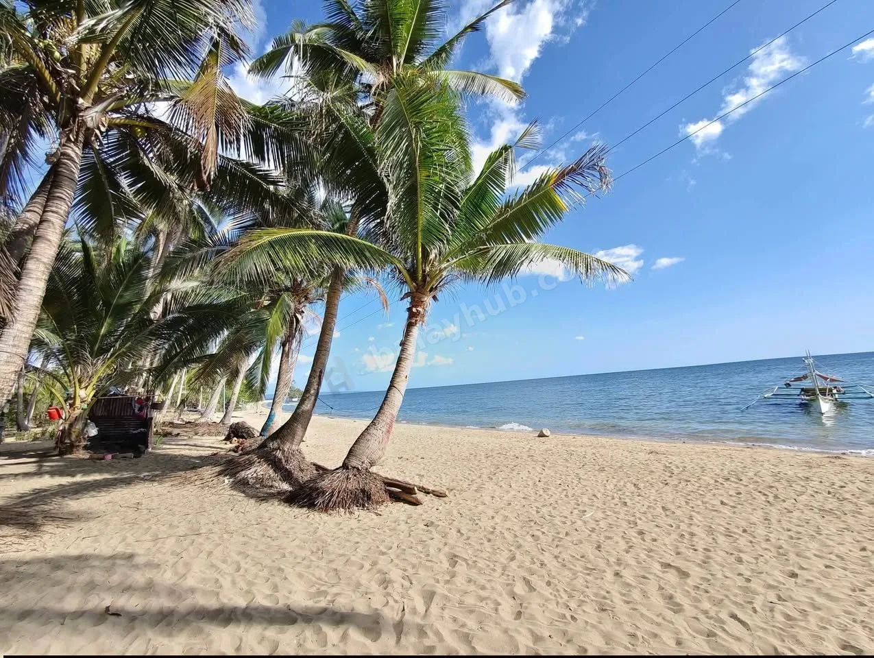 2000 sqm Land in Mulanay, Quezon for Farm or Retreat