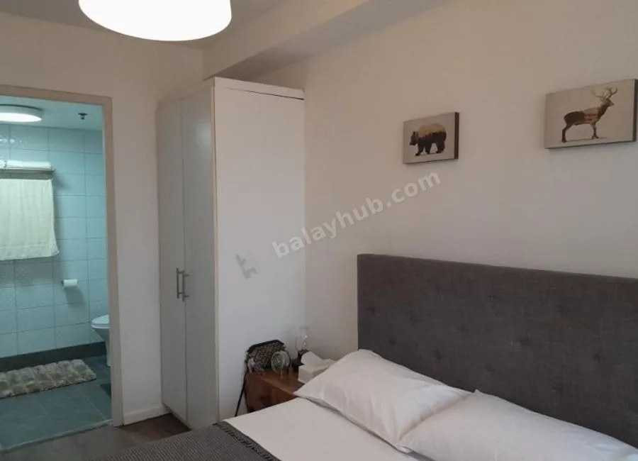 Fully Furnished, 1 Bedroom 1BR Condo for Rent at The Columns Ayala, Makati