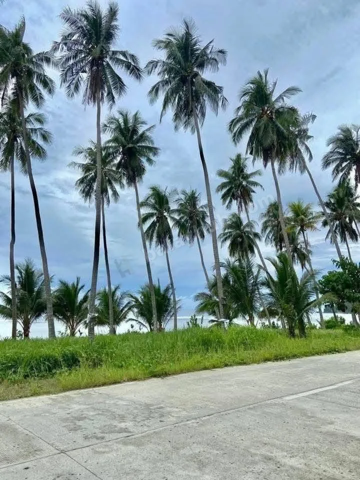 925 sqm Beachfront Lot in Lanca Mati, Davao Oriental