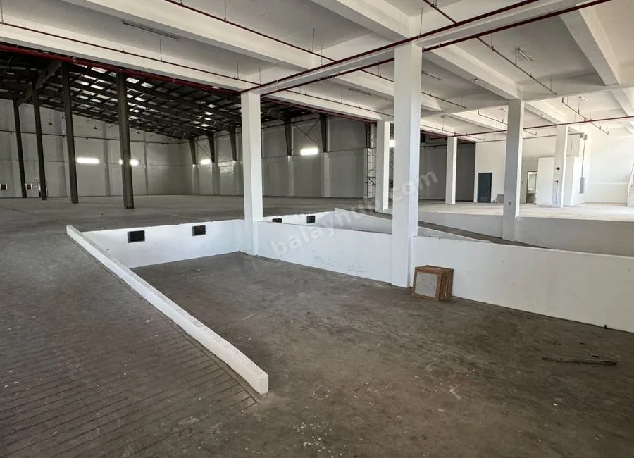 Light Industry and Science Park (LISP) III, Warehouse for Lease, Batangas