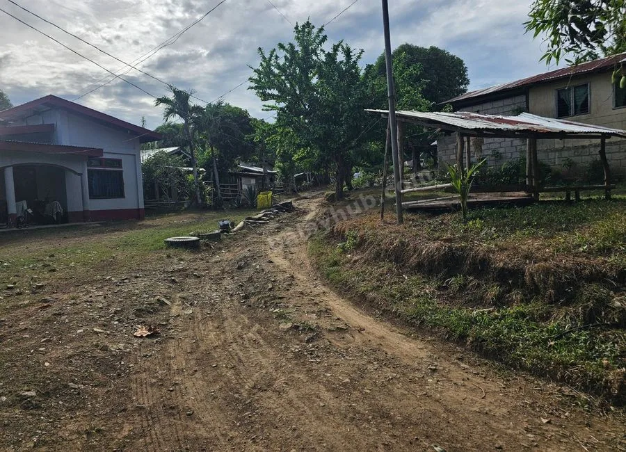 2,200 sqm Clean Title Overlooking Lot for Sale – Bagacay, Talibon, Bohol Price: ₱1,000 per sqm (Net)