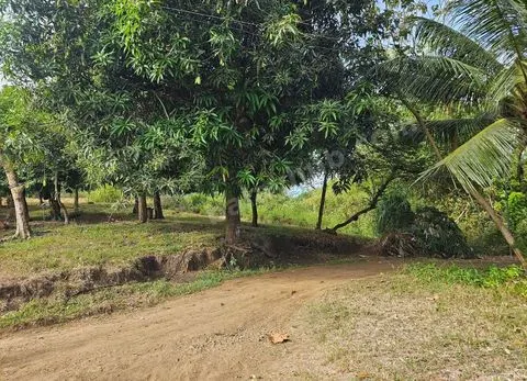 2,200 sqm Clean Title Overlooking Lot for Sale – Bagacay, Talibon, Bohol Price: ₱1,000 per sqm (Net)