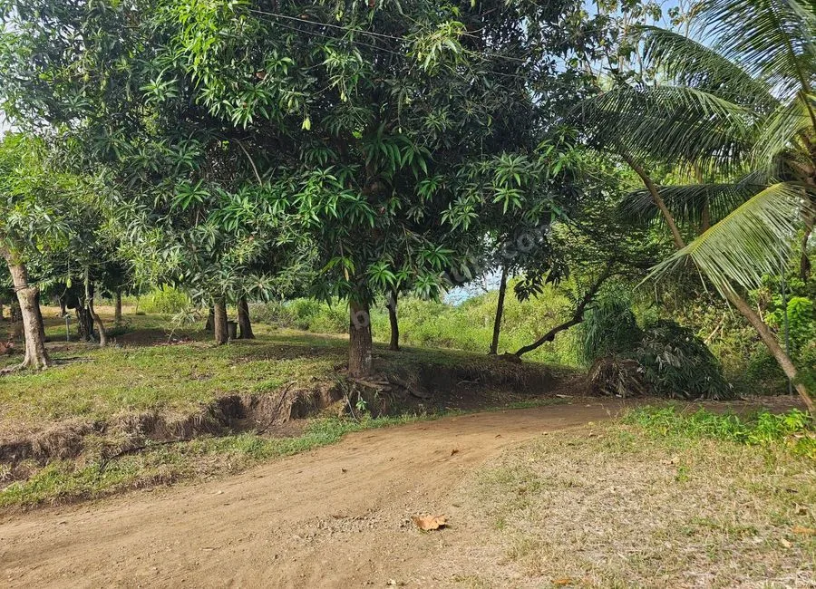 2,200 sqm Clean Title Overlooking Lot for Sale – Bagacay, Talibon, Bohol Price: ₱1,000 per sqm (Net)