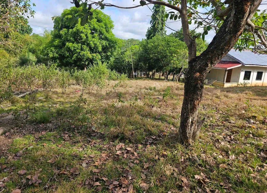 2,200 sqm Clean Title Overlooking Lot for Sale – Bagacay, Talibon, Bohol Price: ₱1,000 per sqm (Net)