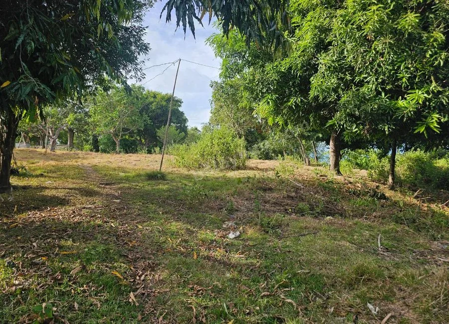 2,200 sqm Clean Title Overlooking Lot for Sale – Bagacay, Talibon, Bohol Price: ₱1,000 per sqm (Net)